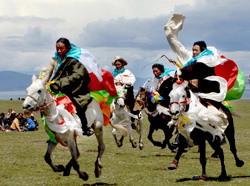 Nagqu Horse Festival