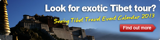 Tibet travel event calendar 2012