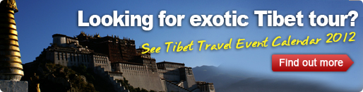 Tibet travel event calendar 2012