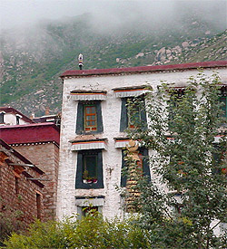 Tibetan Medicine