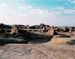 Tibetan Funeral Services