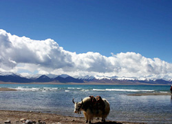 Lake Namtso