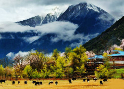 Yaluzhangbu Grand Canyon