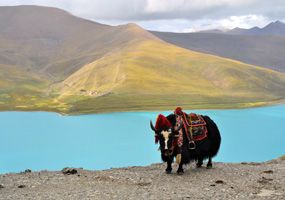 Lake Namtso (Lake Namco)